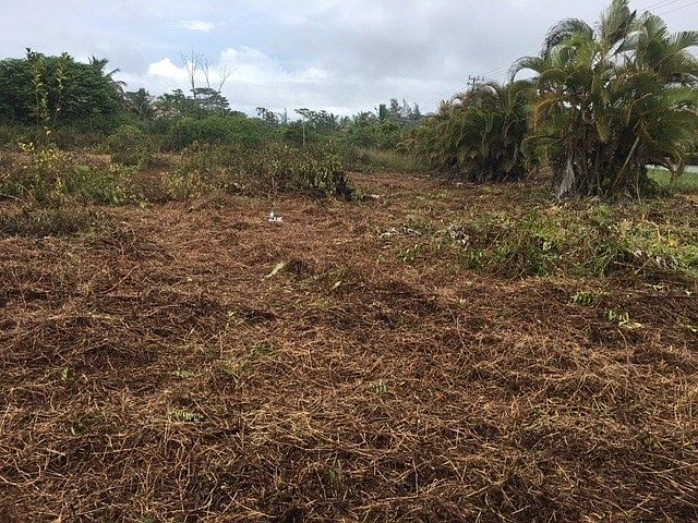 1st image of Kaloli Dr Lot 442