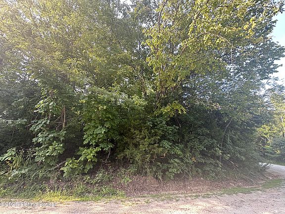 2nd image of 243 Poplar Cir