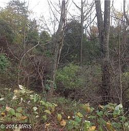 2nd image of 9743 Dean Dr