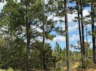 520 Junction City Rd, Mauk, GA 31058