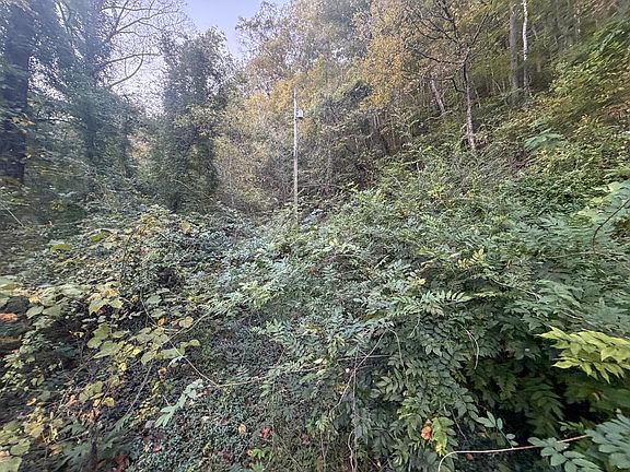 3rd image of 142 Fishtrap Rd