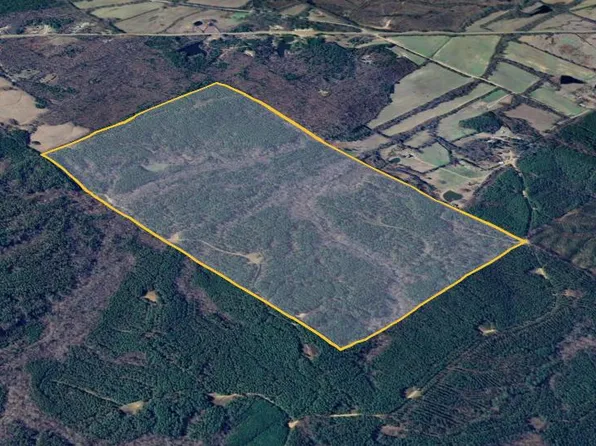 County Road 428, Paris, MS 38949