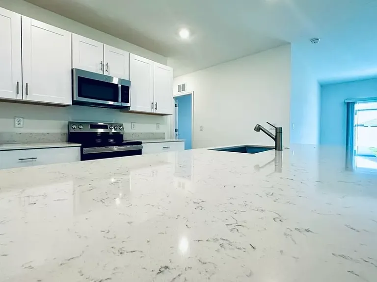 11524 Radiant Shore Loop — Photo 44