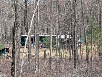 5799 W Deer Trl, Curran, MI, 48728