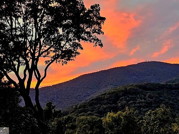 2nd image of 188 Tea Berry