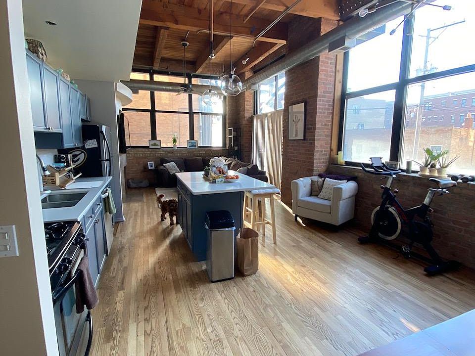 View when you walk to the end of the hallway from the entrance (dog not included)