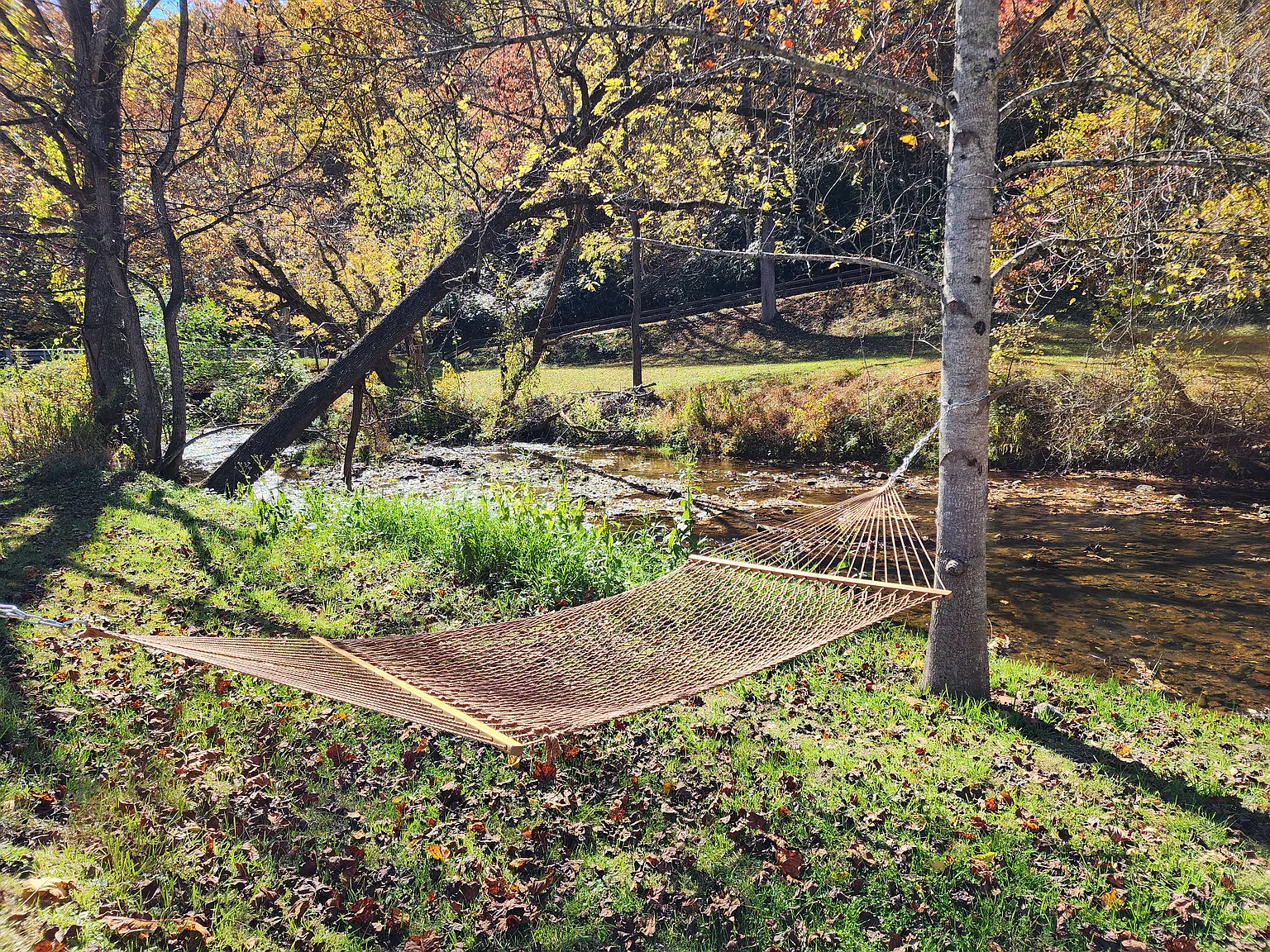 Lon Israel Rd, Candler — Photo 4