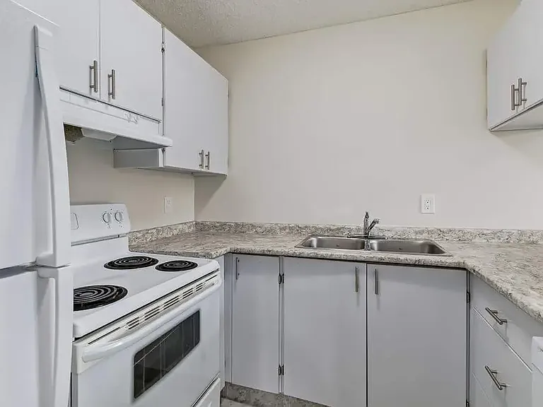 232 Pinehouse Dr — Photo 33