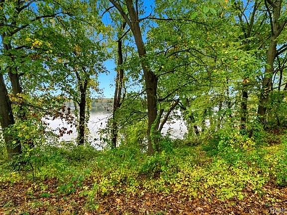 4th image of 8890 Tipsico Lake Rd