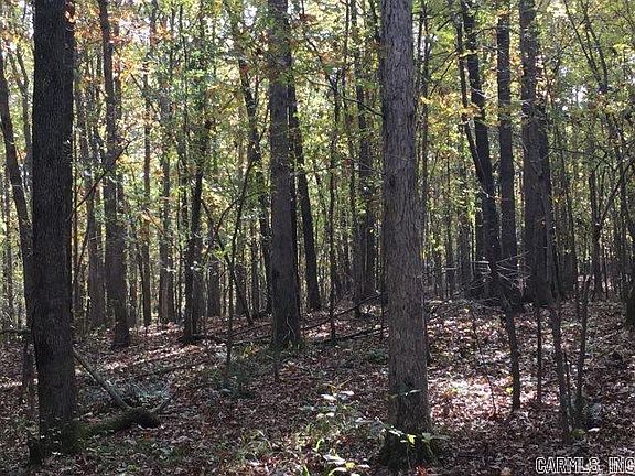 4th image of Unk Polk Rd #293