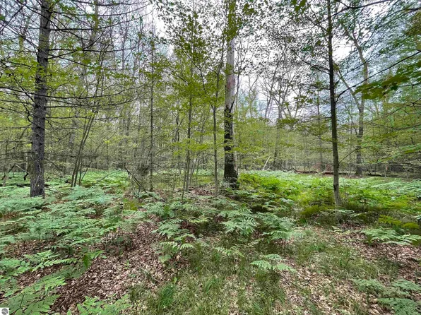 1686 Norway Lake Rd, Prescott, MI 48756