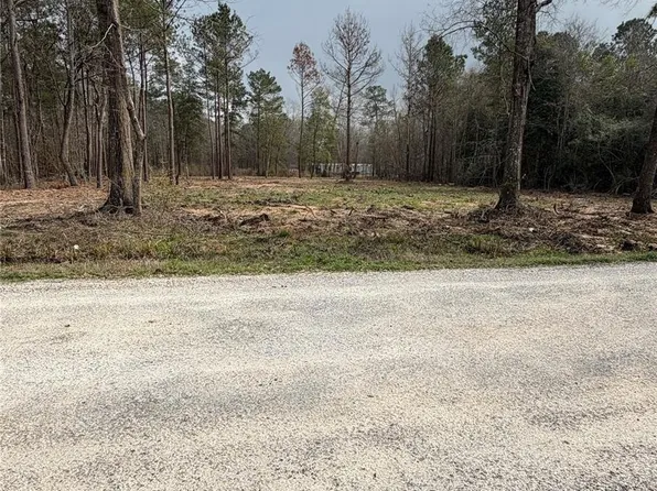 0 Dogwood Trl, Shepherd, TX 77371