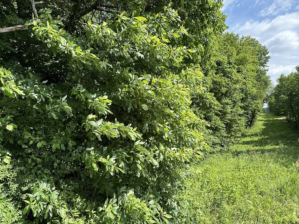 1st image of 2055 Browns Valley Red Hill Rd
