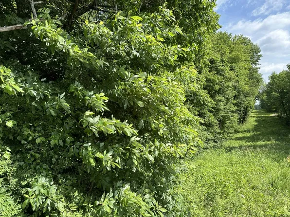 2055 Browns Valley Red Hill Rd, Utica, KY 42376