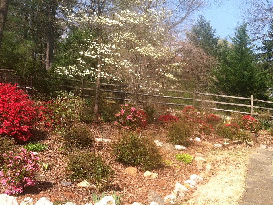 part of garden in the back