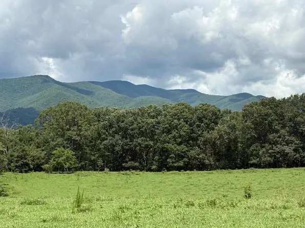 1321 Winchester Cove Rd, Hayesville, NC 28904