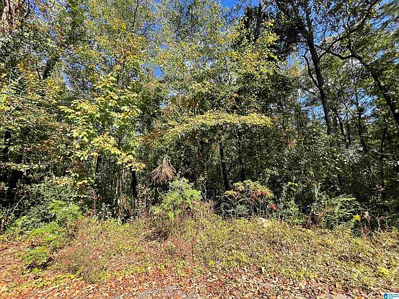 3rd image of 0 Autumn Ln #8