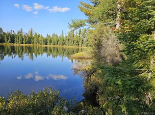 Carp St UNIT 32, Ishpeming, MI 49849