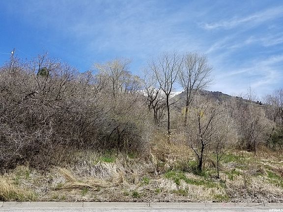 4th image of 2610 Woodland Dr
