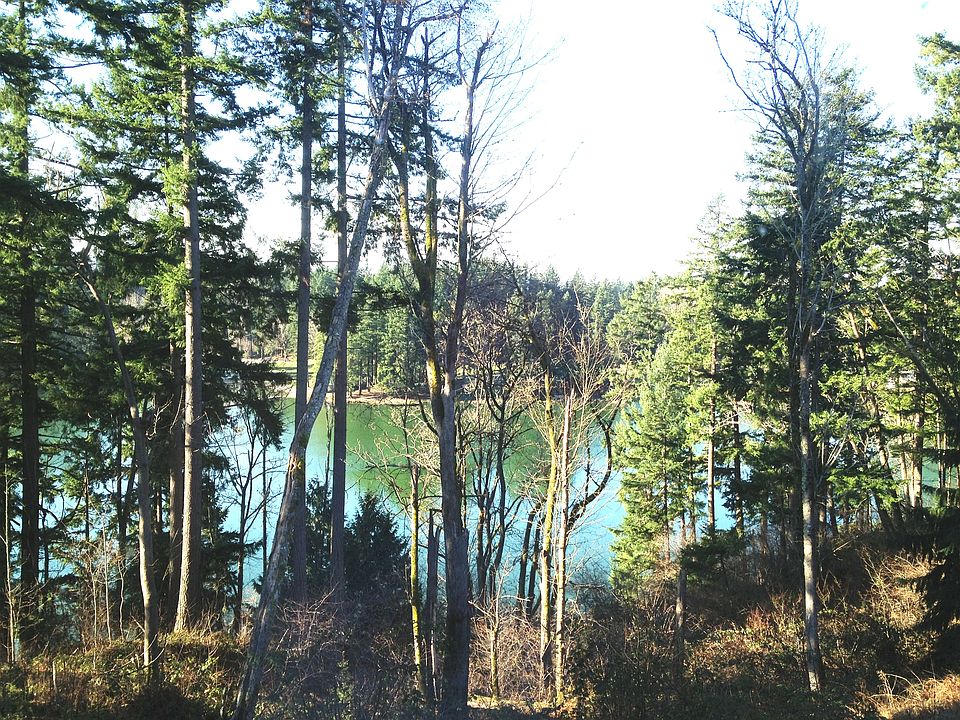 Deck View 