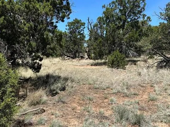 55 Elk Trl #67, Pie Town, NM 87827