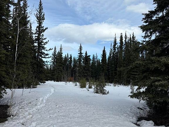 5th image of 1318.5 N Alaska Hwy