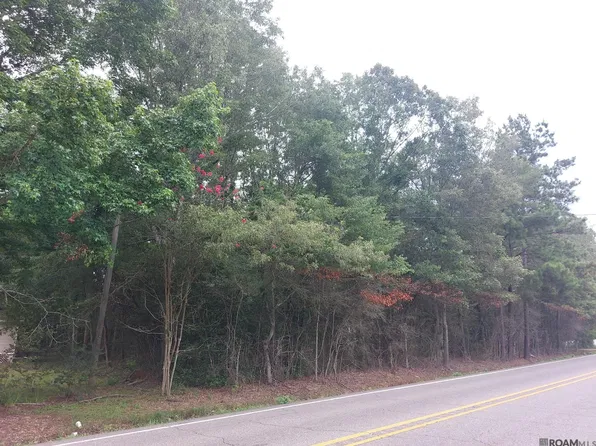 A 2 La Hwy #1019, Denham Springs, LA 70706
