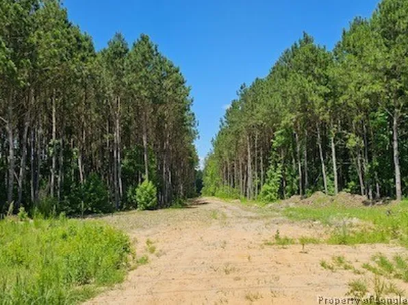5848 Bluman Rd, Wade, NC 28395