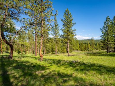3655 Hubbart Dam Rd, Marion, MT, 59925