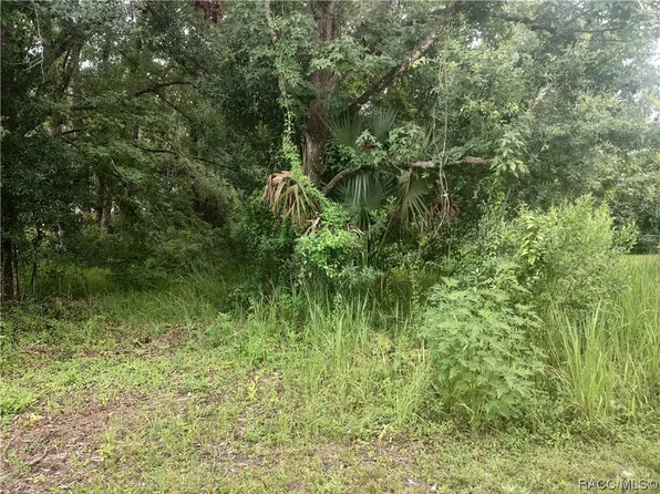 734 NE 11th St, Crystal River, FL 34428