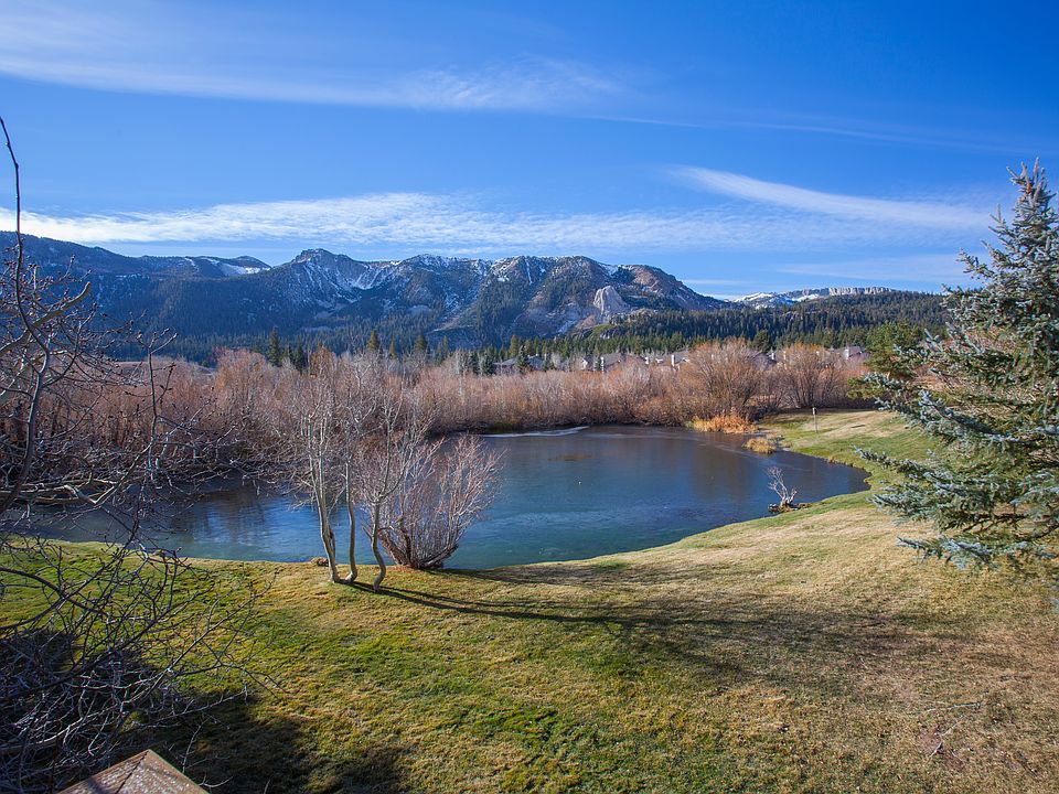 View from deck