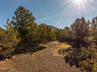 10443 N Covey Ln #22, Williams, AZ 86046