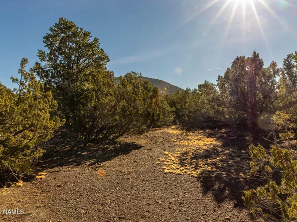 10443 N Covey Ln #22, Williams, AZ 86046