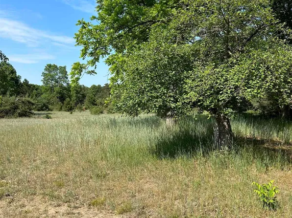 11574 Riley Rd, Interlochen, MI 49643