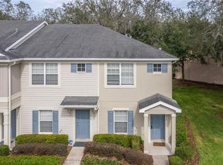15816 Fishhawk Falls Dr, Lithia, FL 33547