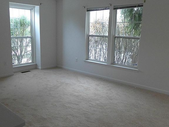 Sun Drenched Living Room