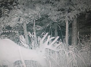 300 Goebel White Rd, Carlisle, KY 40311