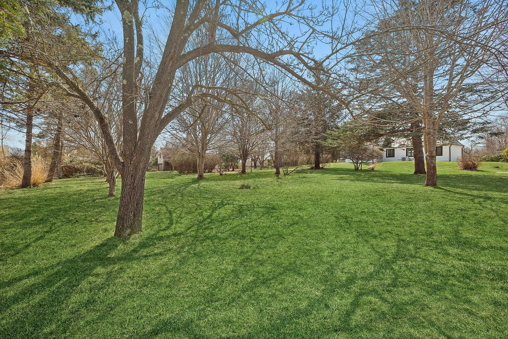  Greener grass added