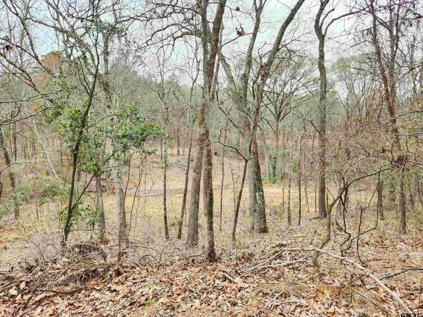 C R 4125, Lindale, TX 75771