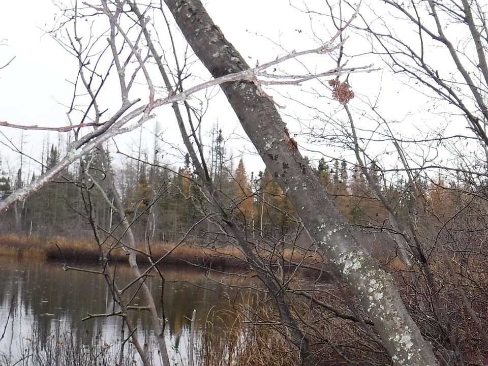 2nd image of S Of Address 3360 Lalonde Beach Rd