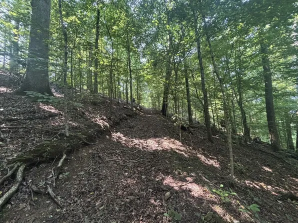 0 Henryville Rd, Ethridge, TN 38456
