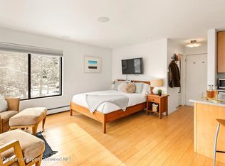 725 E Main St FLOOR 3, Aspen, CO 81611