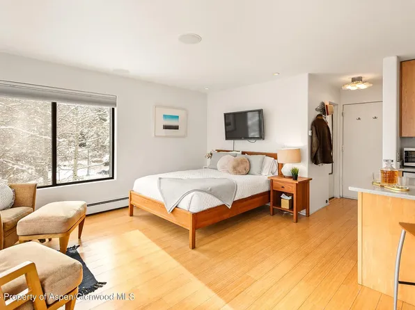 725 E Main St Floor 3, Aspen, CO 81611
