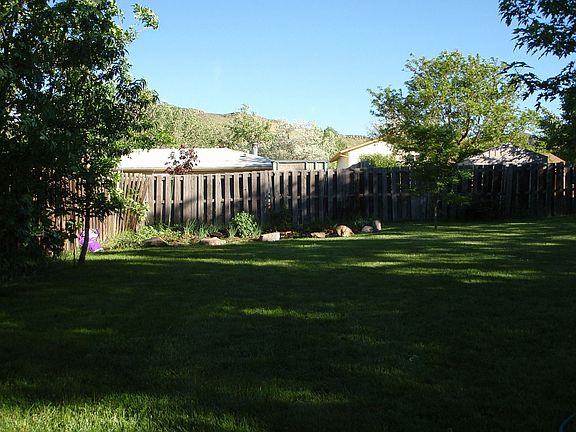 Back yard