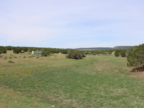 197 Bronco Rd, Mountainair, NM 87036