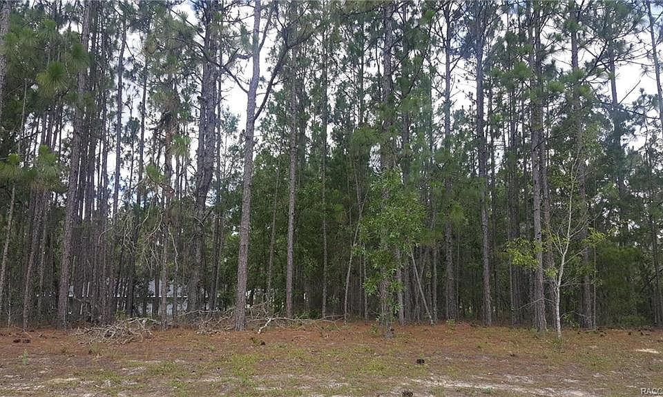2nd image of 9426 N Travis Dr