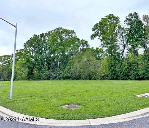 2nd image of 100 Manor House Ln