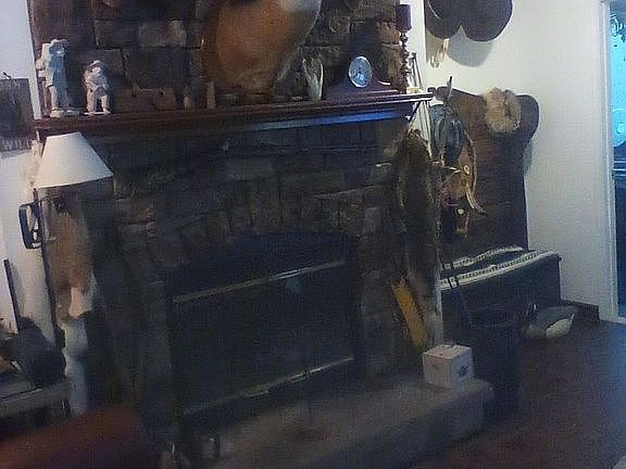 Fireplace (wood)