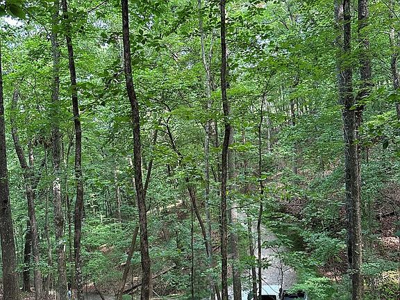 5th image of 12 Pickelsimer Mountain Ln