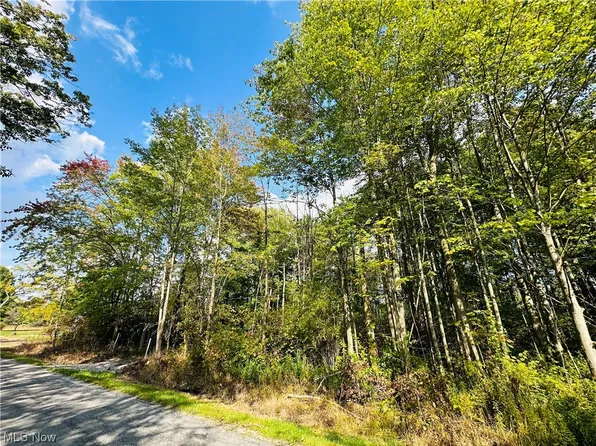 State Road 154, Rogers, OH 44455